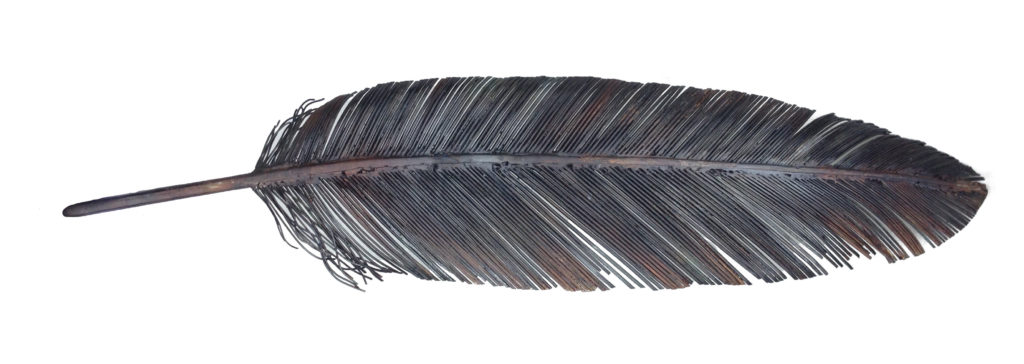 Primary 4. A steel sculpture by Tony O'Keefe, New Zealand Artist. A Haast's Eagle feather.