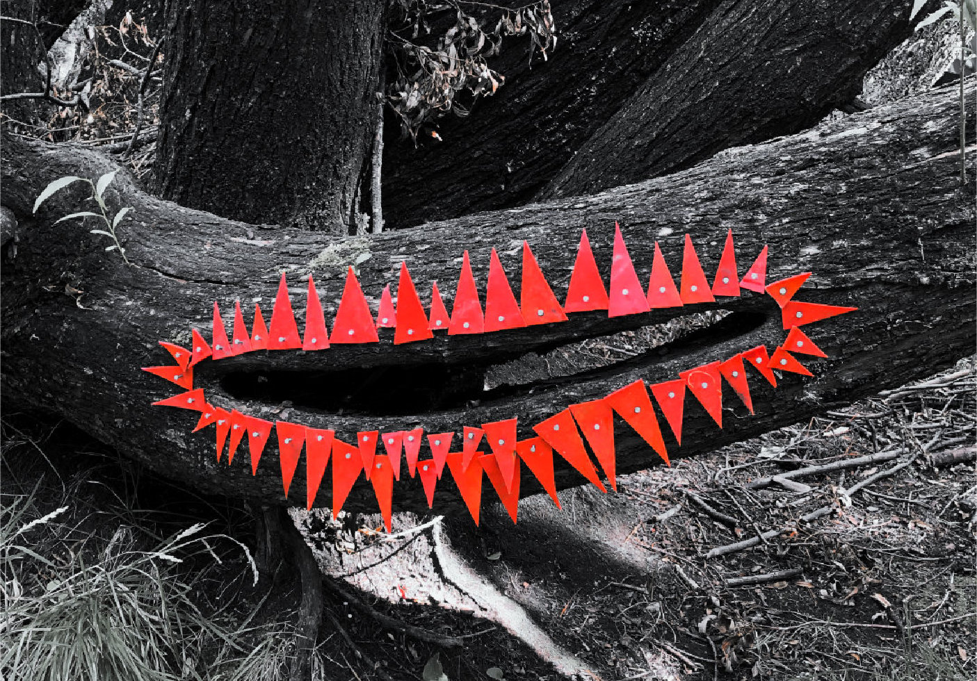 Plastic sculpture by Tony O'Keefe. Artist from Queenstown, New Zealand