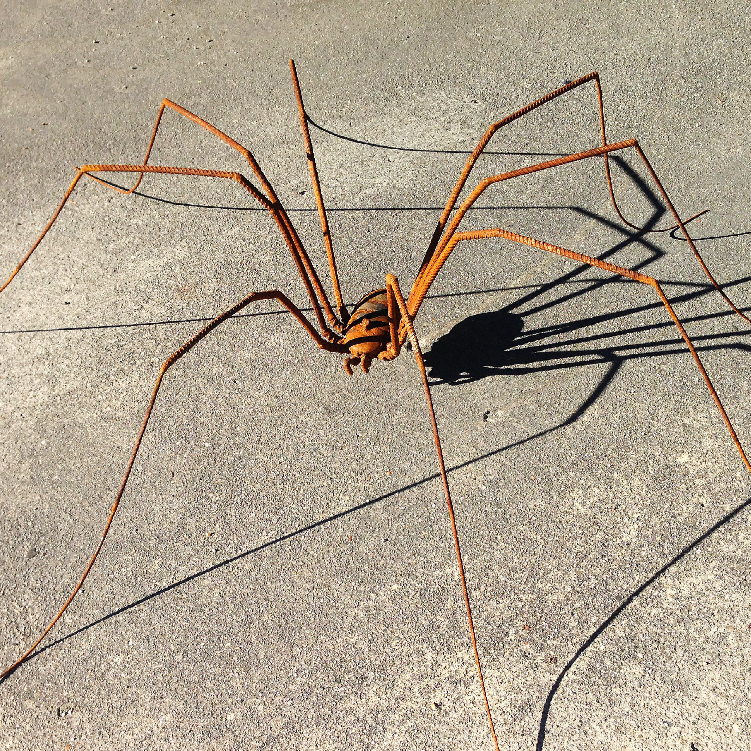 Opiliones. Steel sculpture by Tony O'Keefe. Queenstown artist.